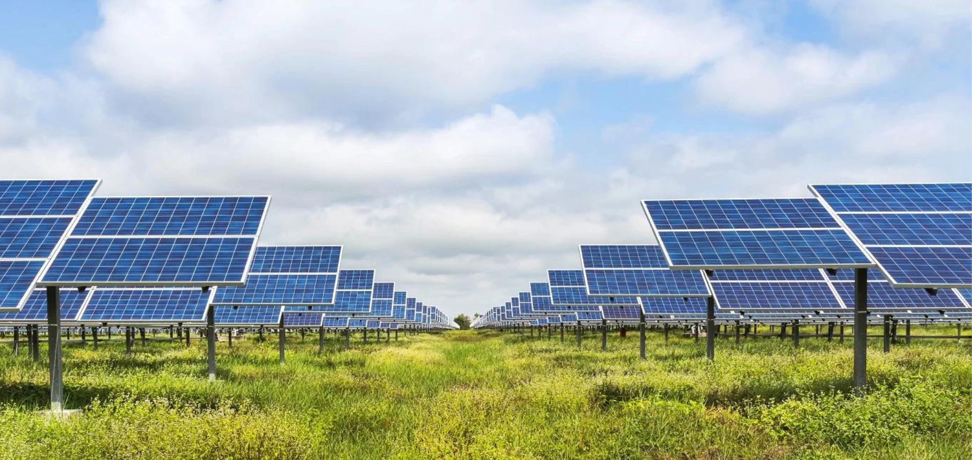 Ethical Power opens Conrad Energy's first solar farm - energynews