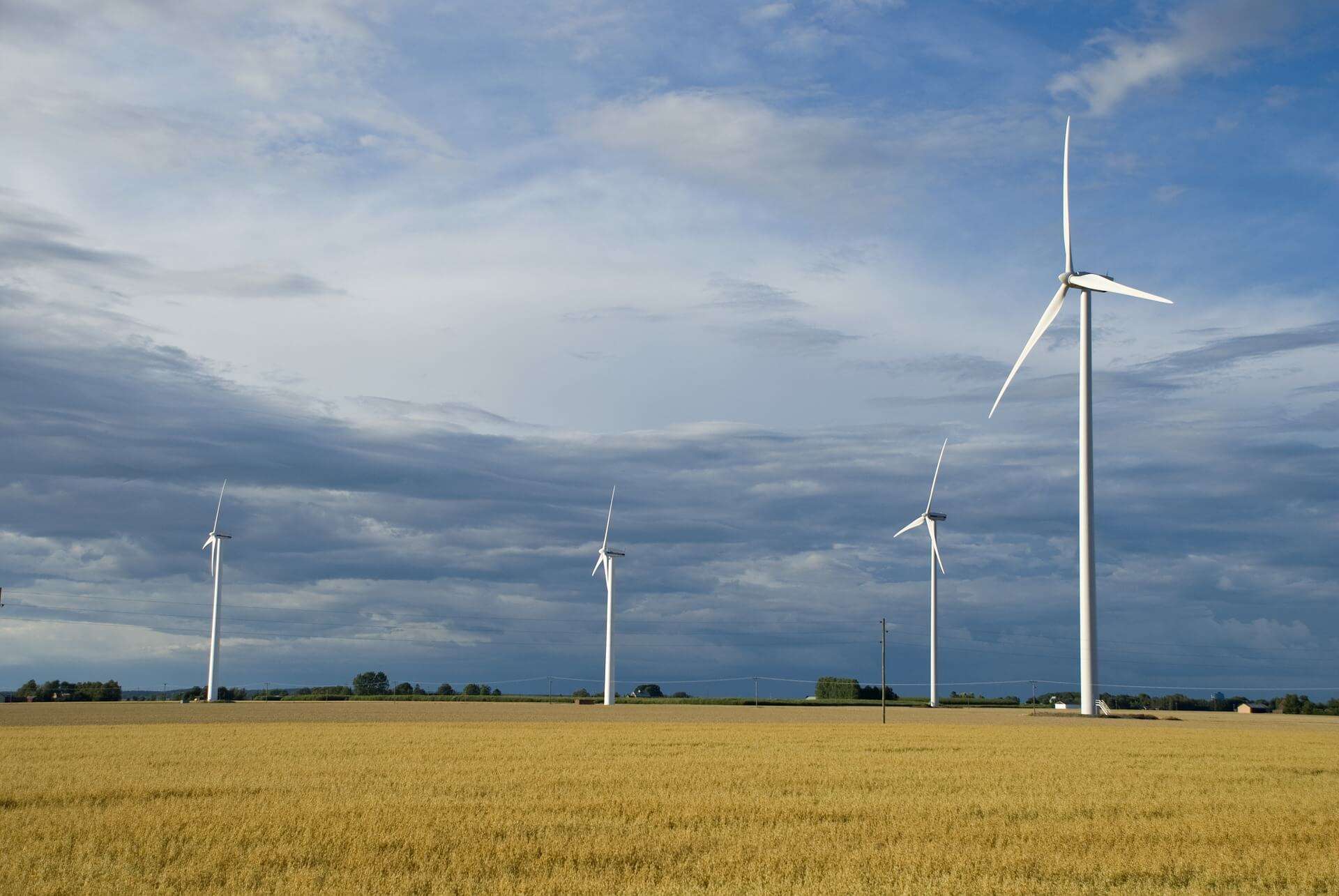 TECHNBUSINESS-windfarm
