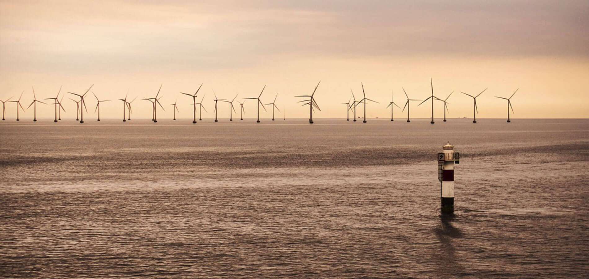 mayflowerwind_energynews-1