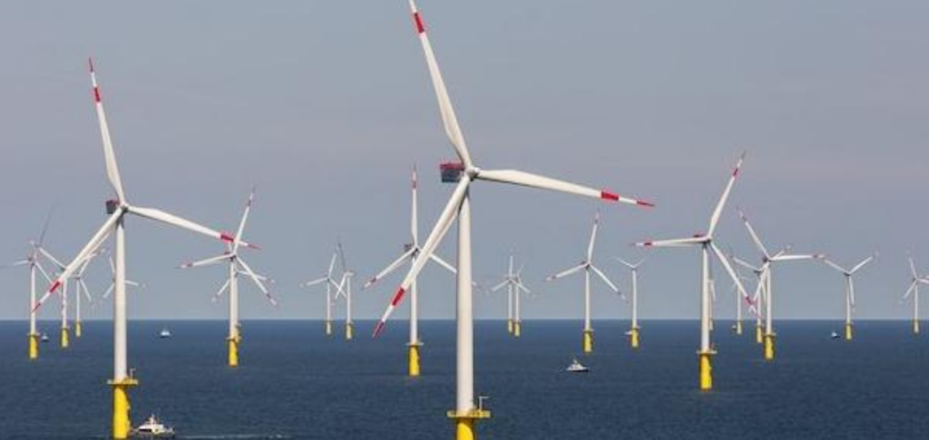 Octopus Energy dans l'éolien offshore
