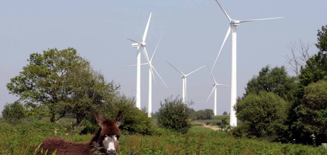 Énergie éolienne renouvelle grande distribution