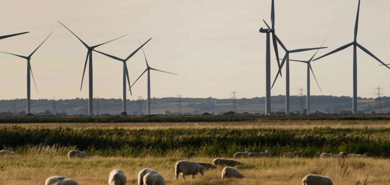 Éolien terrestre: espoir renouvelé