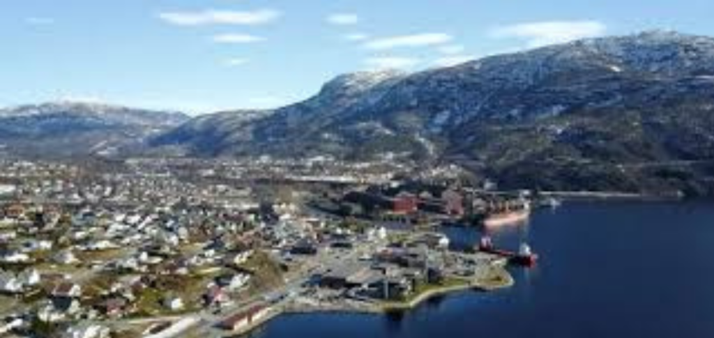 Capacité de Réseau pour l'Ammoniac Vert