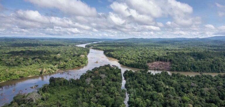 Plainte ONU centrale solaire Guyane