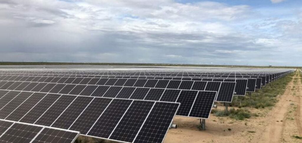 Monarch Elawan solaire Texas