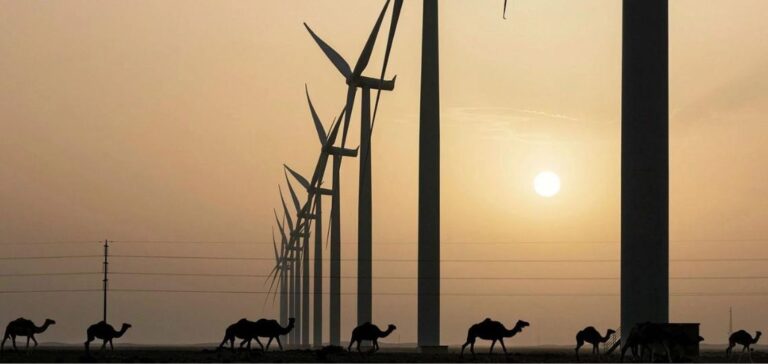 Wind power projects in Saudi Arabia.