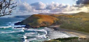 Exploration Shell Wild Coast