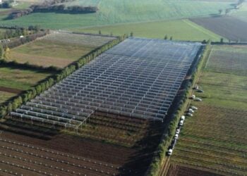 Vente projet solaire Niculești Roumanie