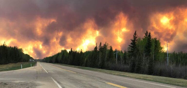 Incendies et stabilité de la production