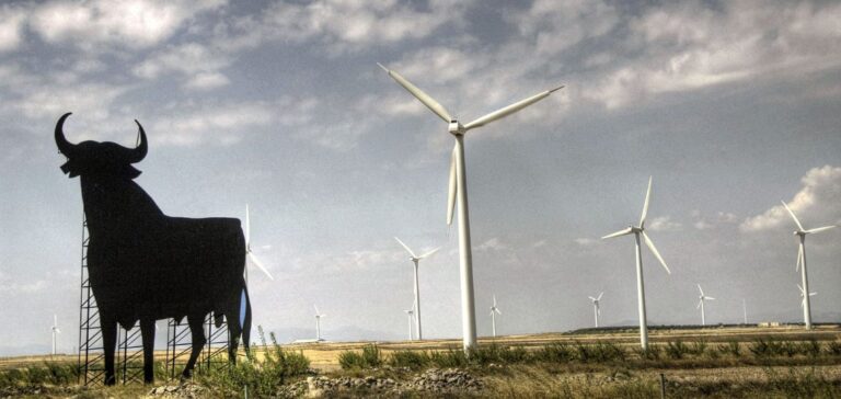 Taureau Osborne sur fond d'éoliennes