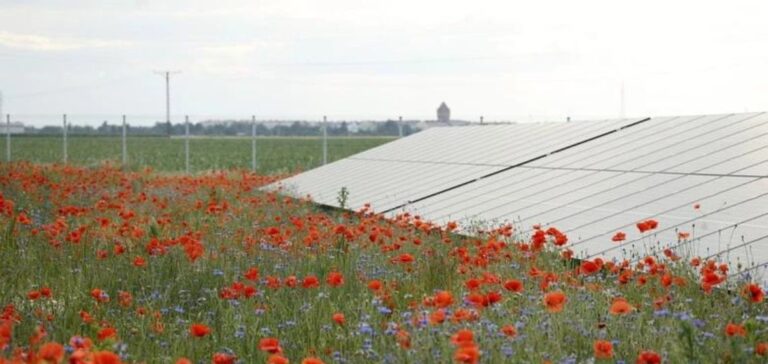 RWE solar expansion in Poland