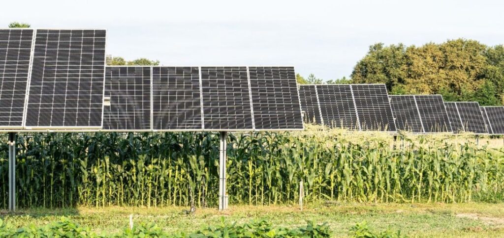 système agrivoltaïque sur le site pilote de GLHD