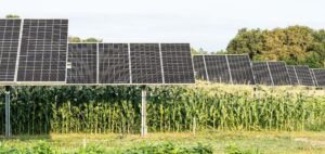système agrivoltaïque sur le site pilote de GLHD