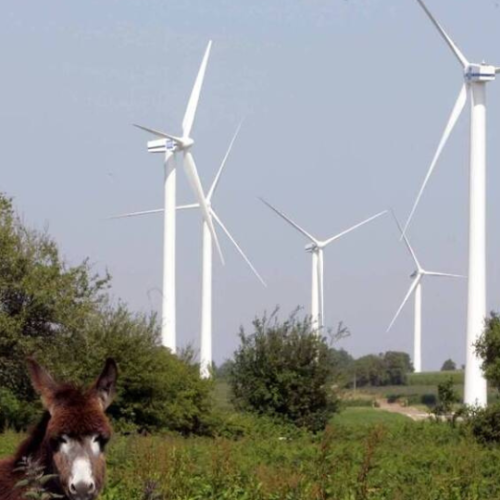 Énergie éolienne renouvelle grande distribution