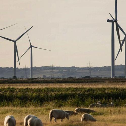 Éolien terrestre: espoir renouvelé