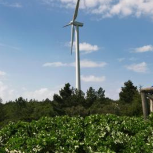 Italie leader en énergie verte