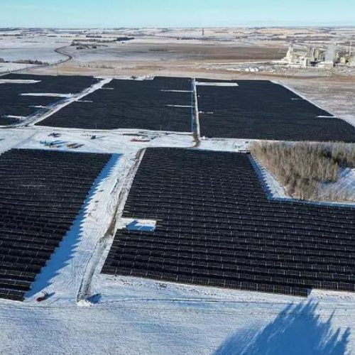 Neoen ferme solaire Alberta