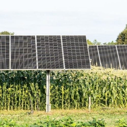 système agrivoltaïque sur le site pilote de GLHD