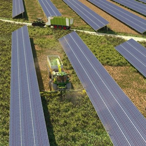 Infrastructure agrivoltaïque en France