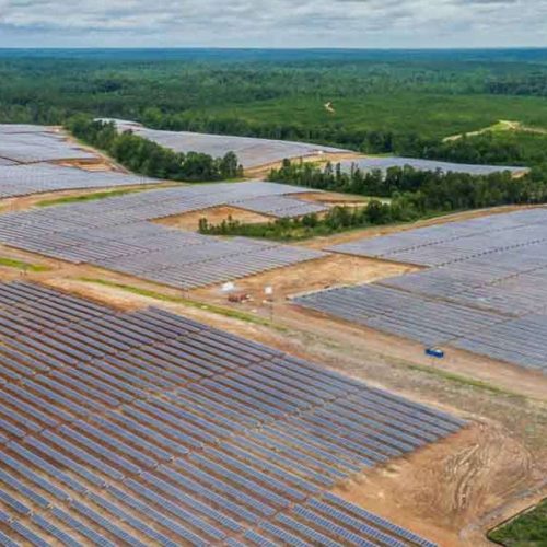 ferme-solaire-Mississipi-Sunflower